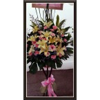 CBF-001